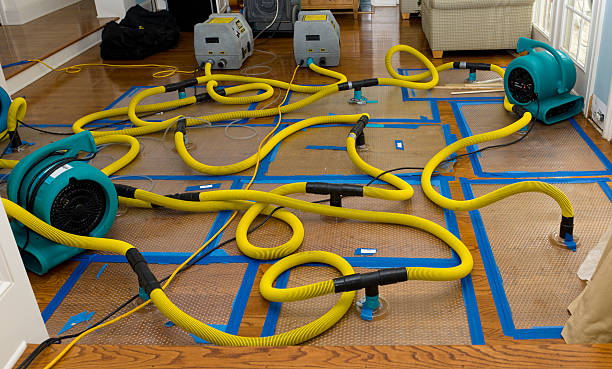 Professional Basement Flood Cleanup technician working in Ideal, GA